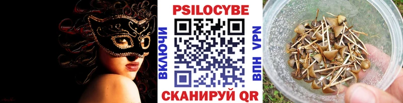 Псилоцибиновые грибы прущие грибы  Отрадная 